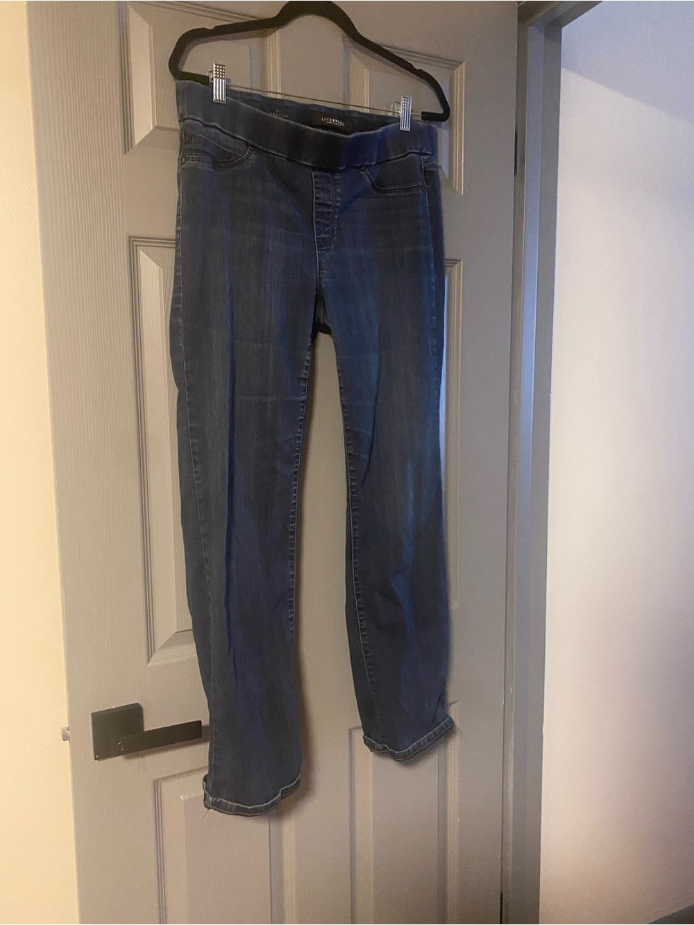 Liverpool Jeans Company Straight Leg Jeans in Dark Blue